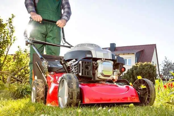 Grass Seeding