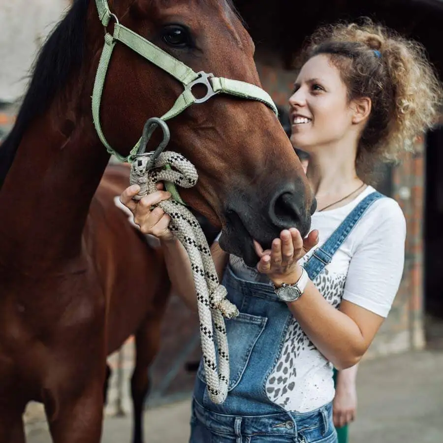 Equine Insurance Farm Bureau Financial Services
